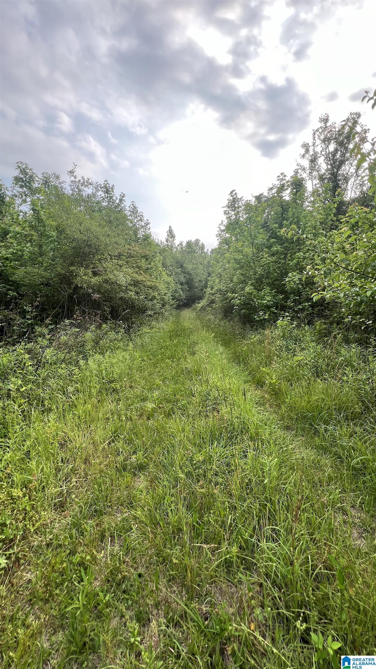 Lot 8 Woods Bend Road, Unit LOT 8 Ragland, AL 35131 - Photo 16 of 28