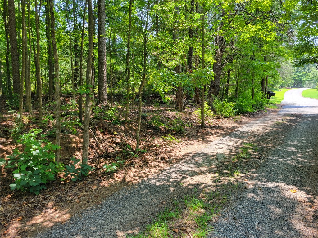 306 Foxfire Road Central, SC 29630 - Photo 2 of 12