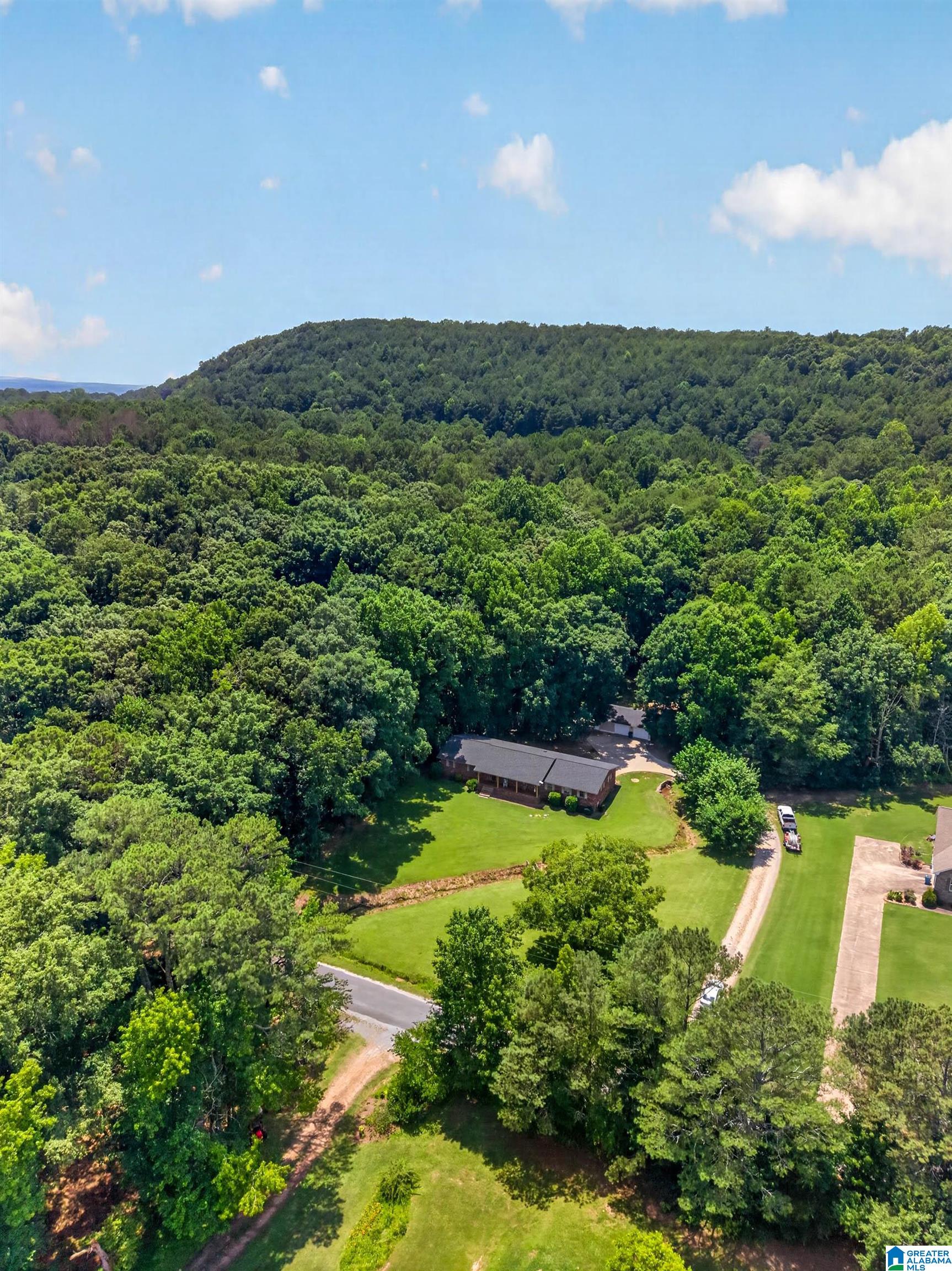 716 King Road Oneonta, AL 35121 - Photo 46 of 52