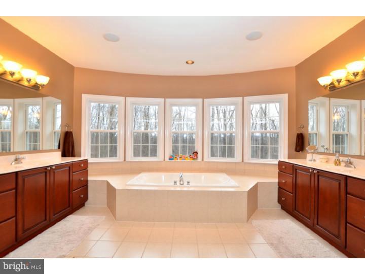 2951 Chestnut Hill Road Pottstown, PA 19465 - Photo 16 of 25 Master Bathroom