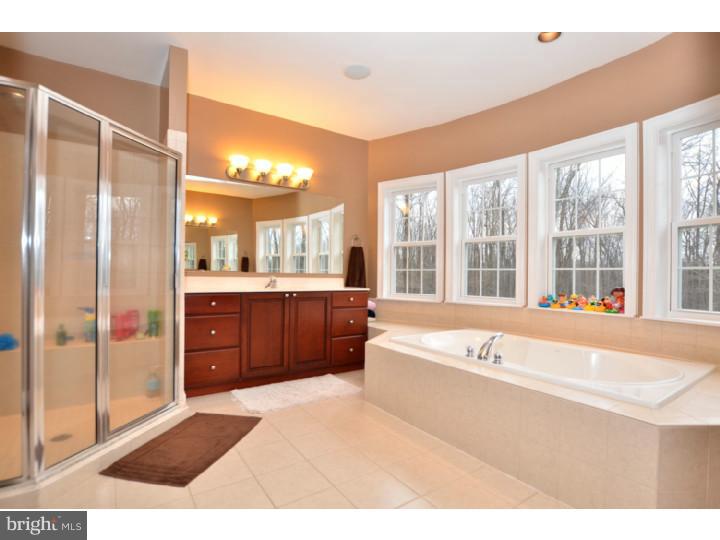 2951 Chestnut Hill Road Pottstown, PA 19465 - Photo 17 of 25 Master Bathroom