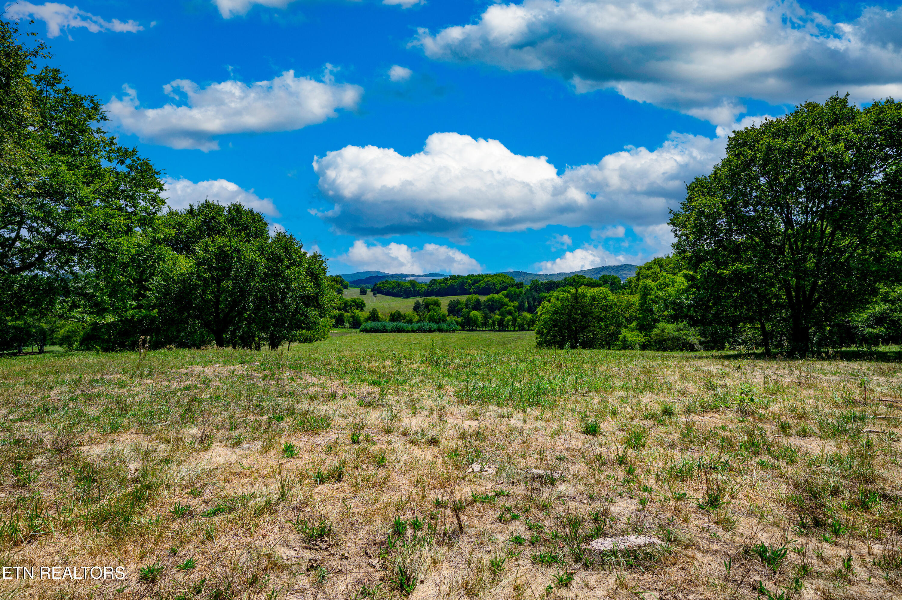 Beard Road Strawberry Plains, TN 37871 - Photo 2 of 15 Front View_18495