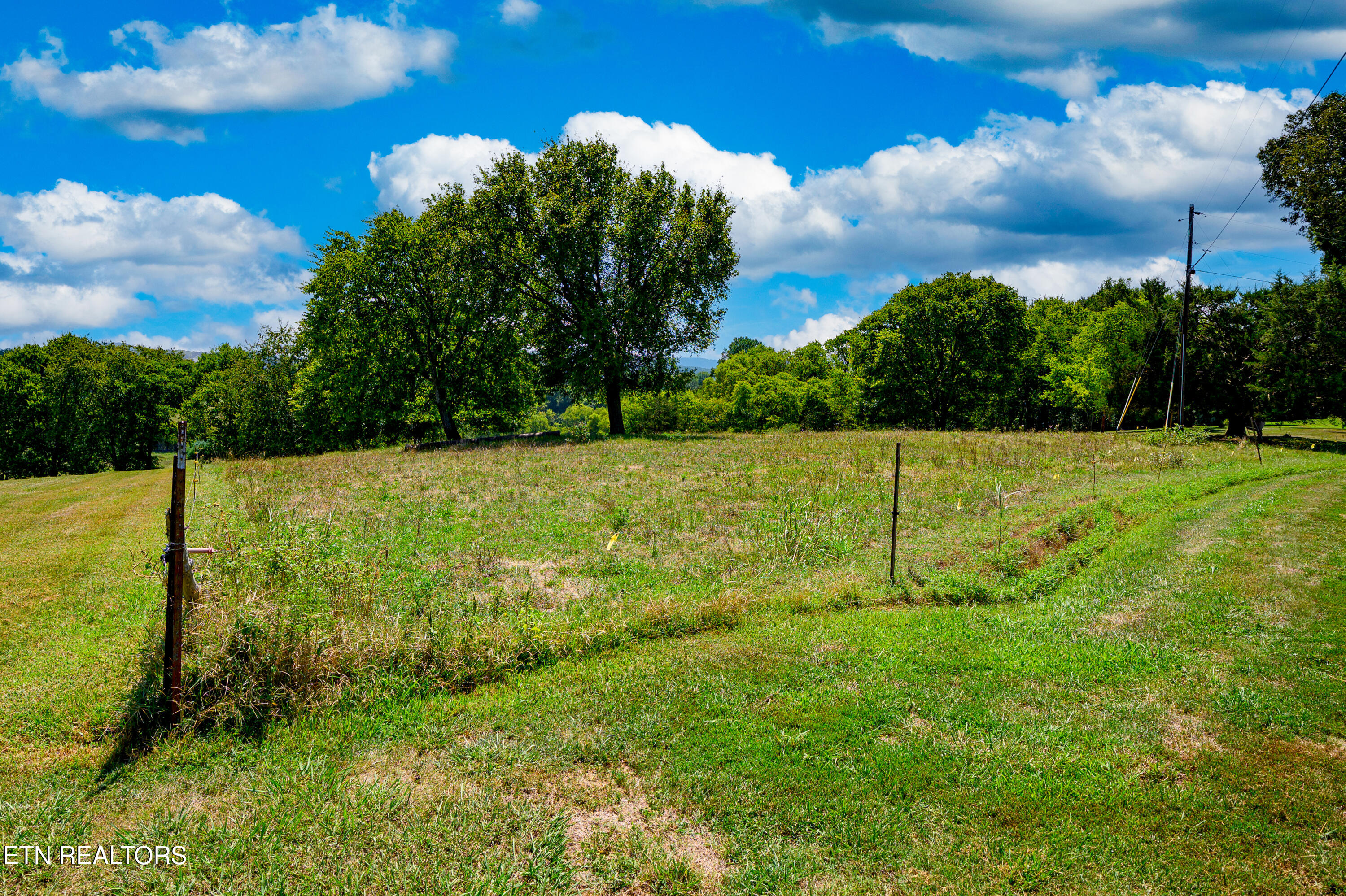 Beard Road Strawberry Plains, TN 37871 - Photo 4 of 15 Left Side View_18494
