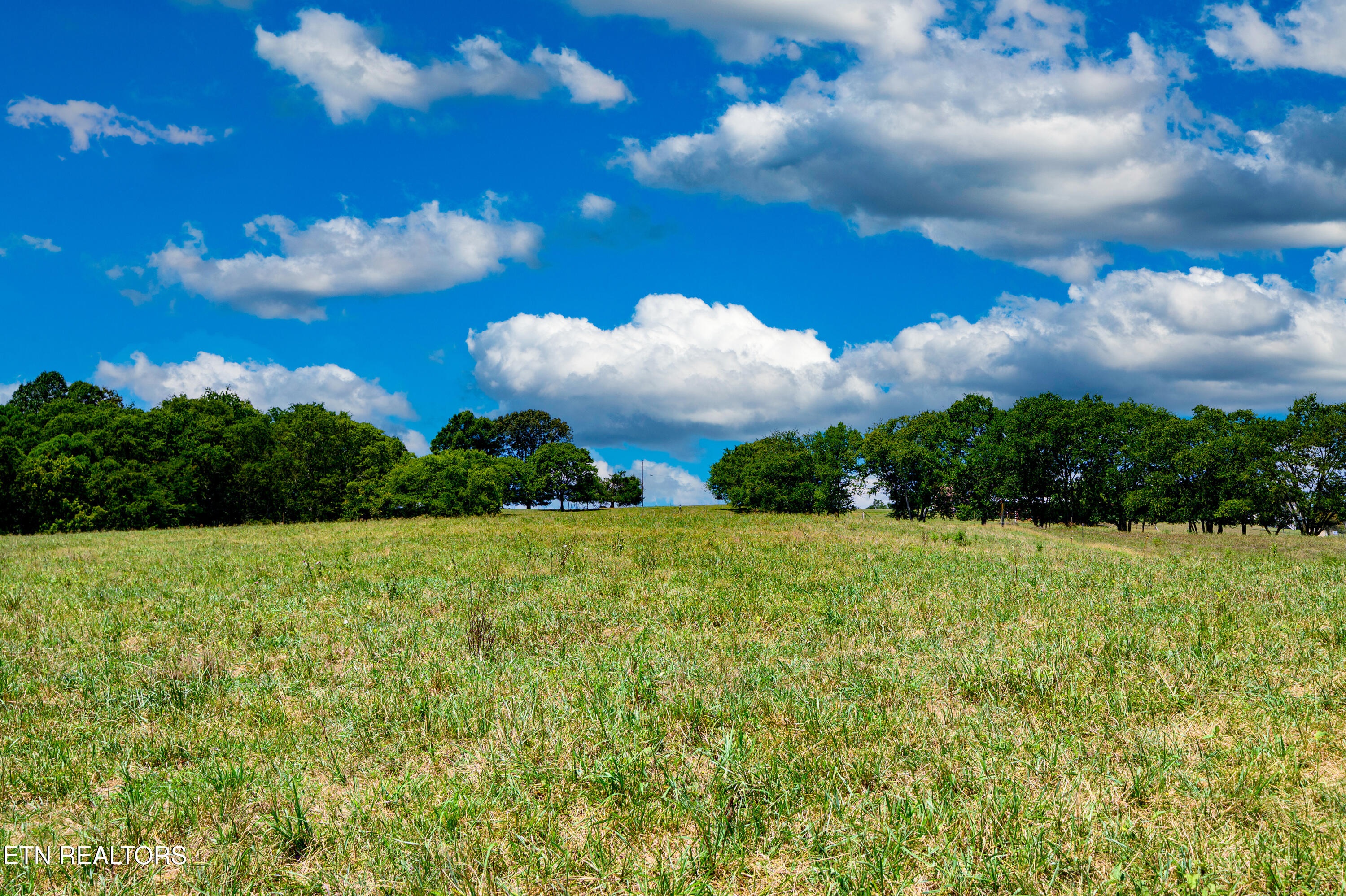 Beard Road Strawberry Plains, TN 37871 - Photo 6 of 15 View from Back_18500