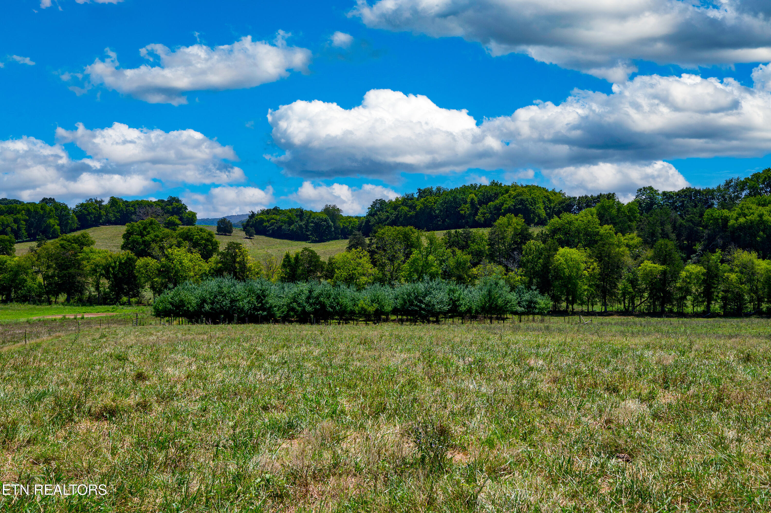 Beard Road Strawberry Plains, TN 37871 - Photo 7 of 15 Christmas Tree Farm_18499