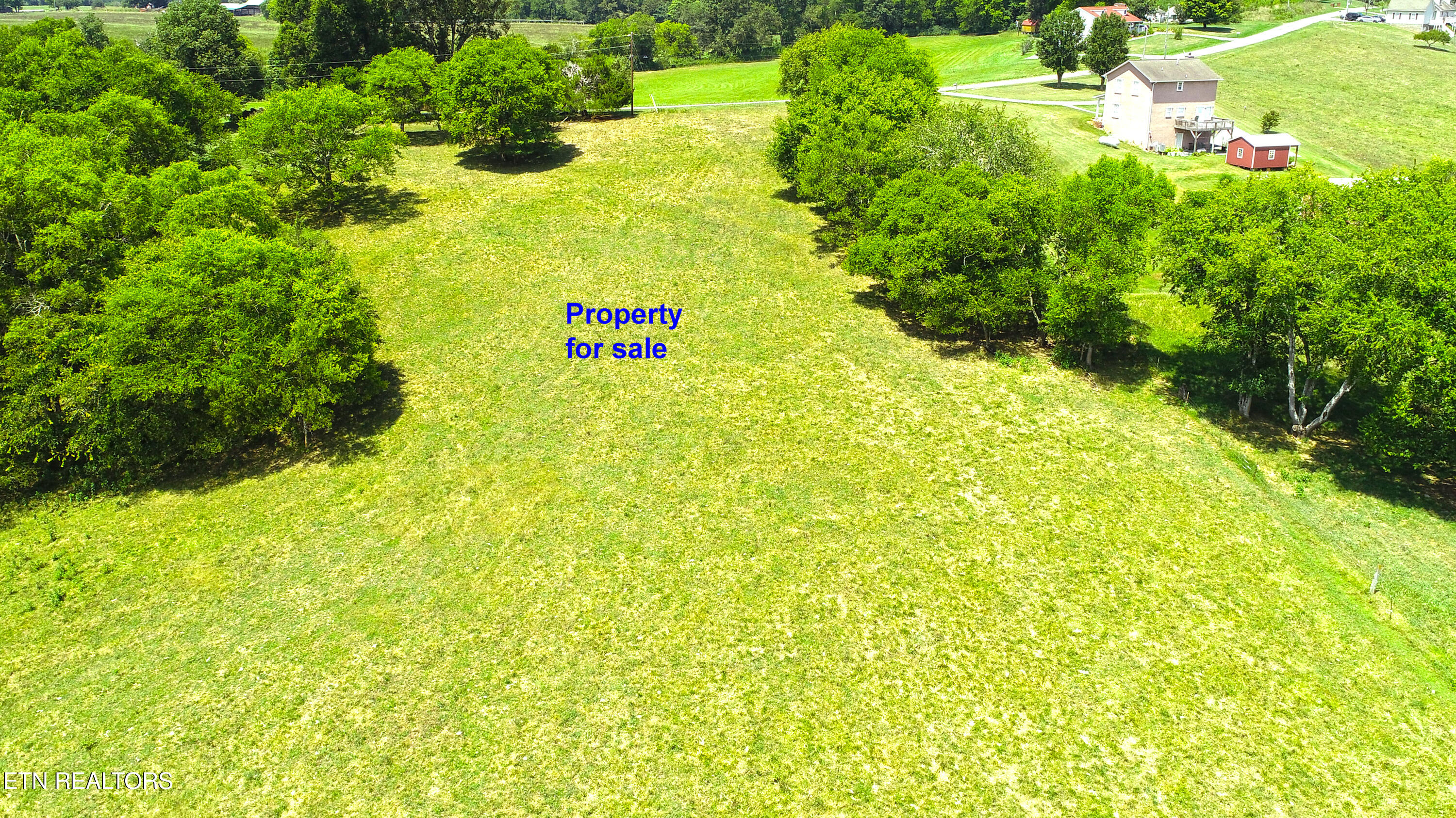 Beard Road Strawberry Plains, TN 37871 - Photo 8 of 15 View from Back_0690