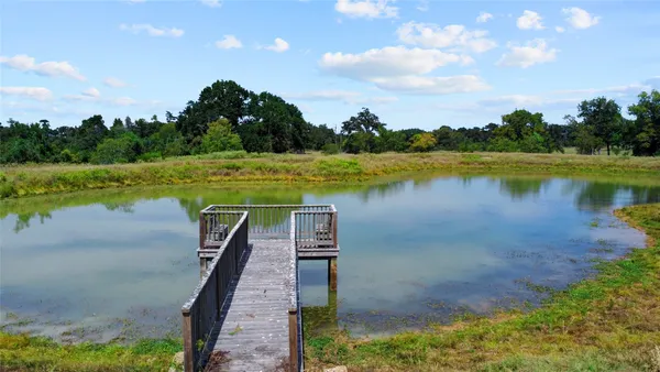 a view of a lake with a yard and a large tree