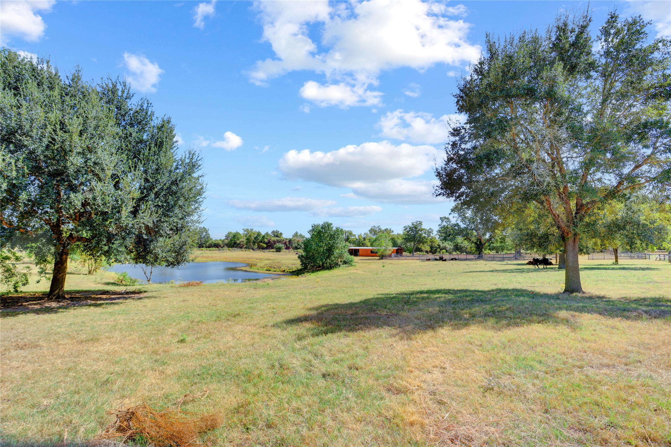 4854 Coshatte Road Bellville, TX 77418 - Photo 46 of 52 a view of an outdoor space and a yard