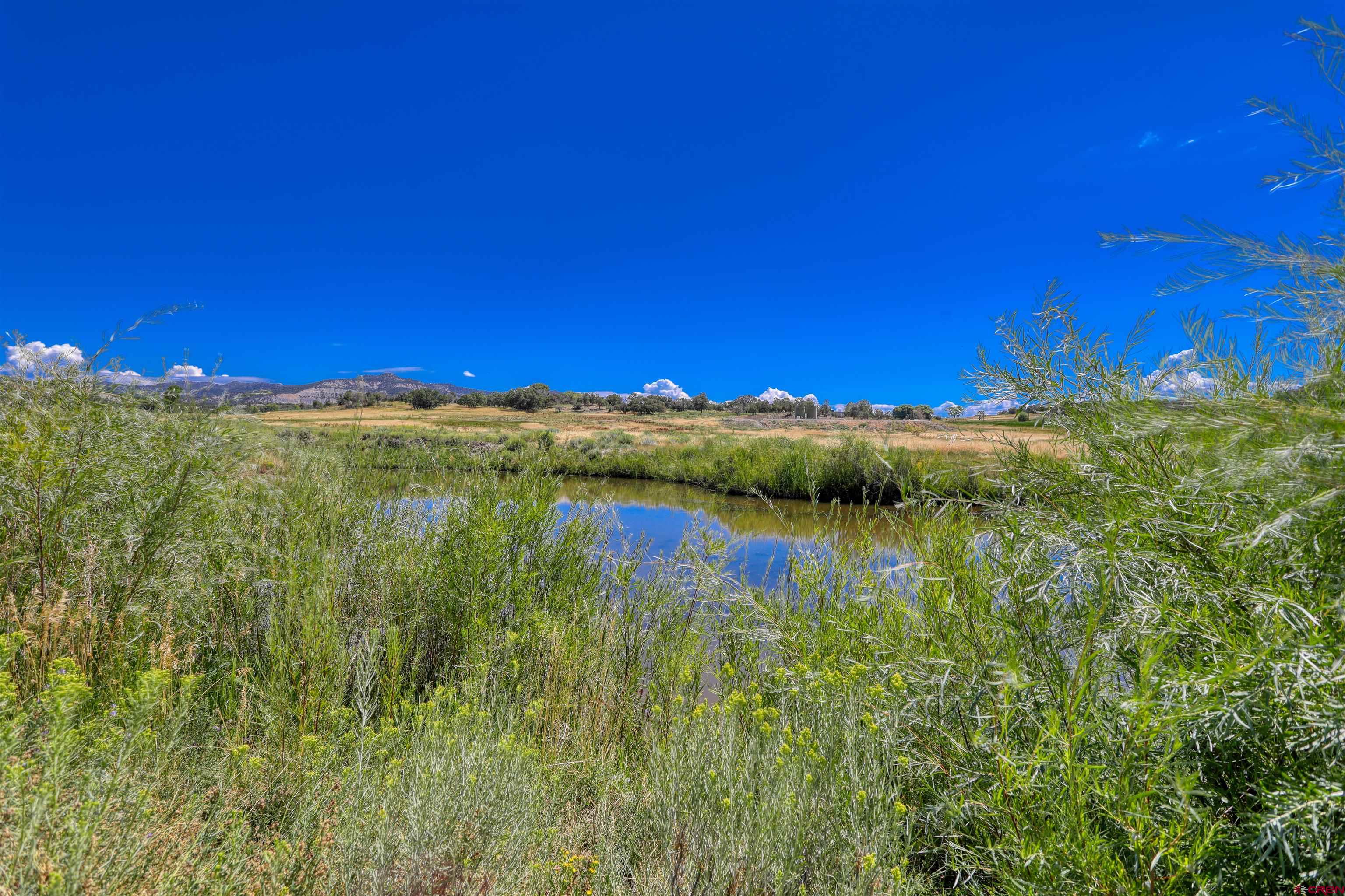 1019 County Road 330 Ignacio, CO 81137 - Photo 17 of 34