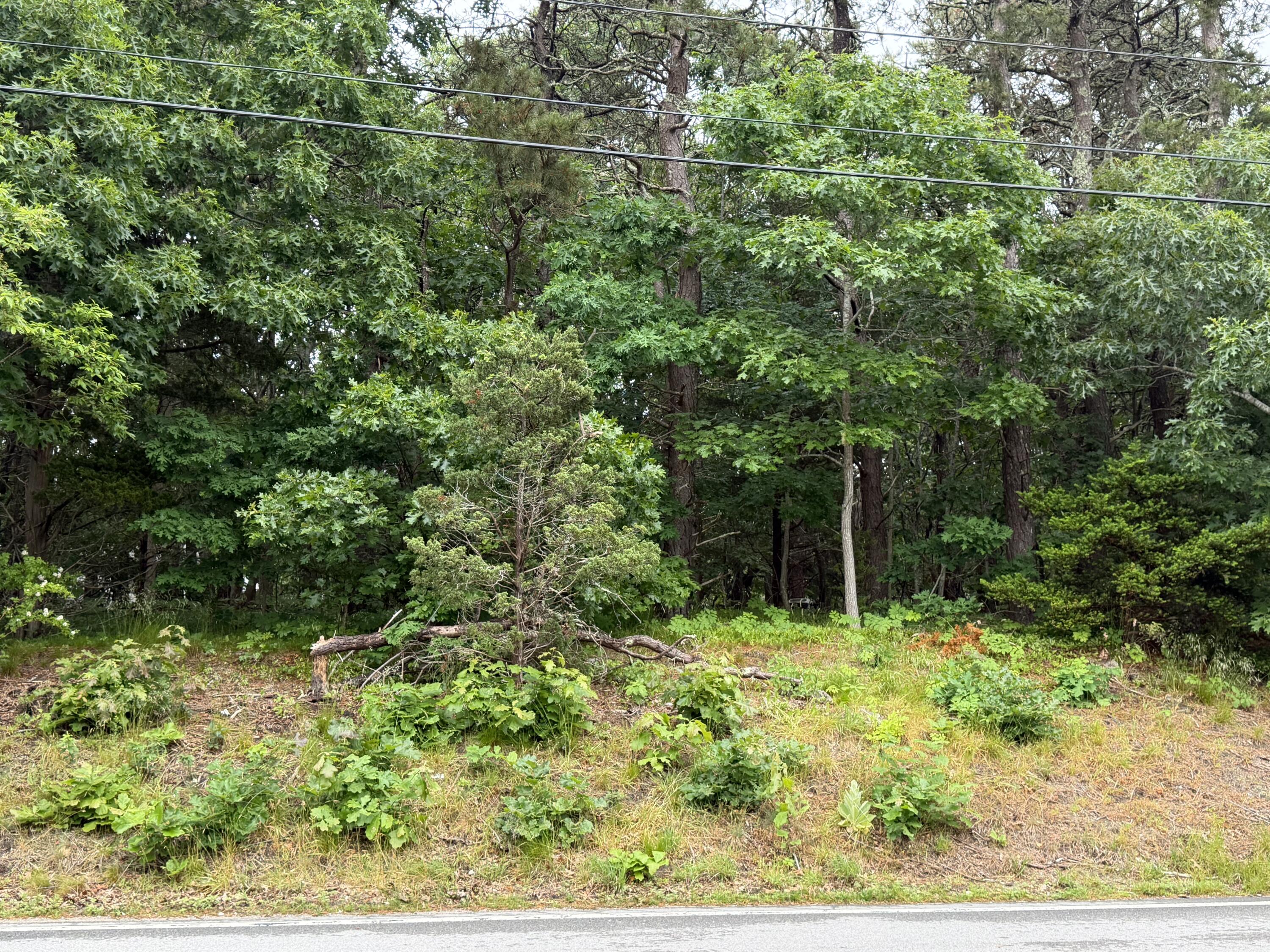 37 Doane Road Harwich Port, MA 02646 - Photo 2 of 5 2