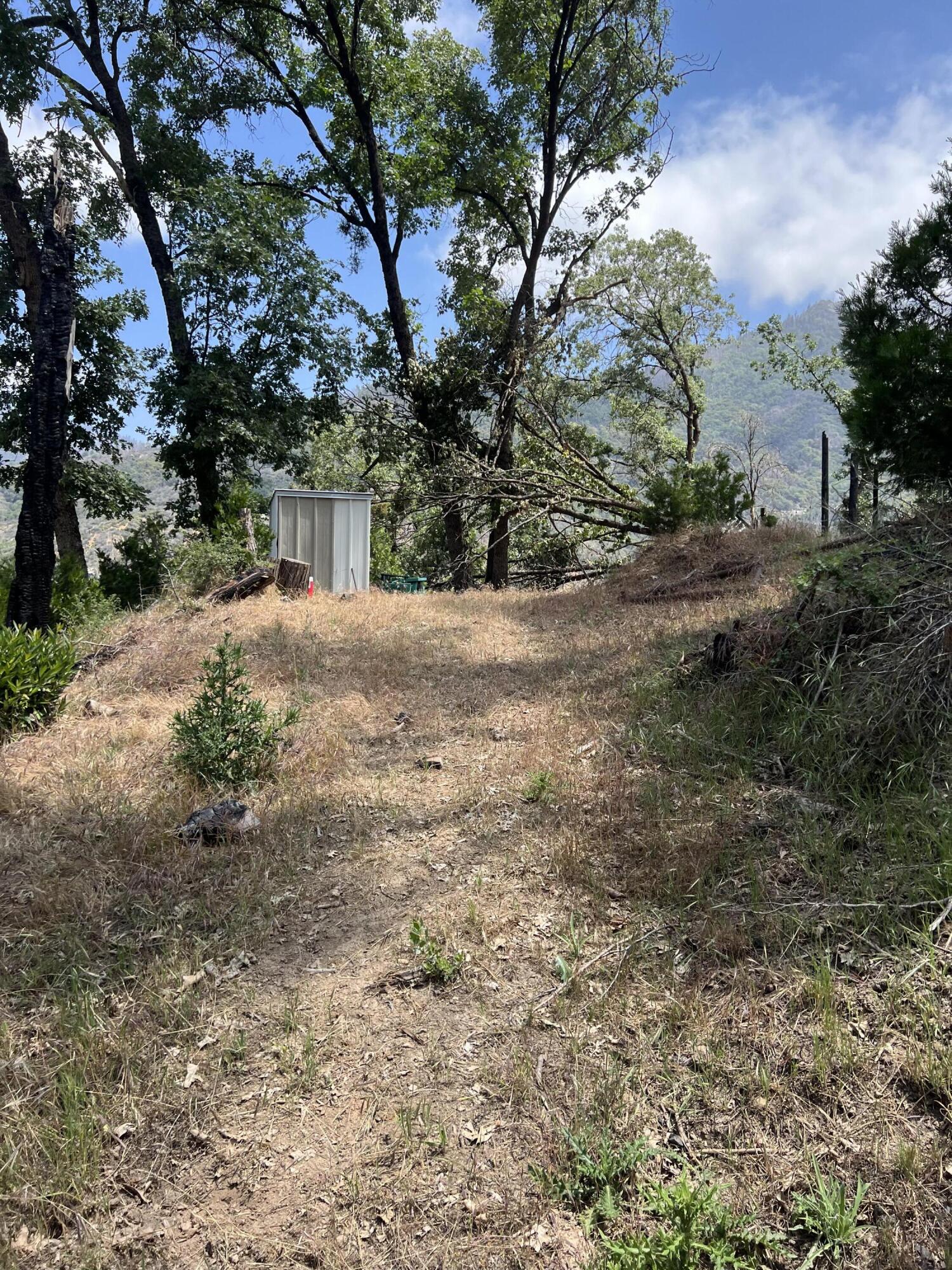 0 Balch Park Road Springville, CA 93265 - Photo 23 of 27 a view of a yard with plants and trees
