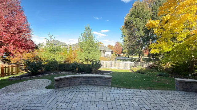 a view of a yard with plants and trees