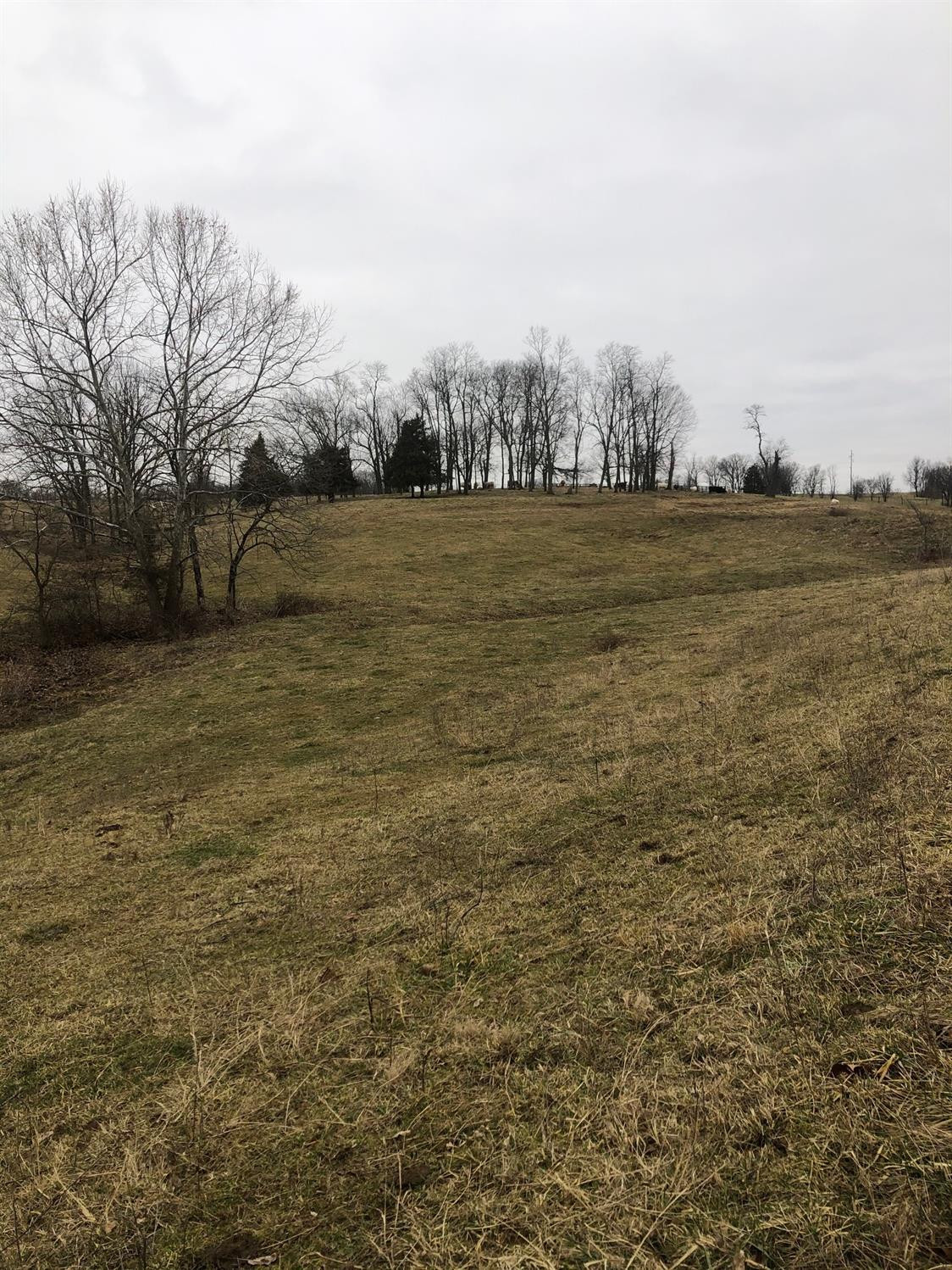 1 Monson/lake Road Cynthiana, KY 41031 - Photo 18 of 23 Photo 18