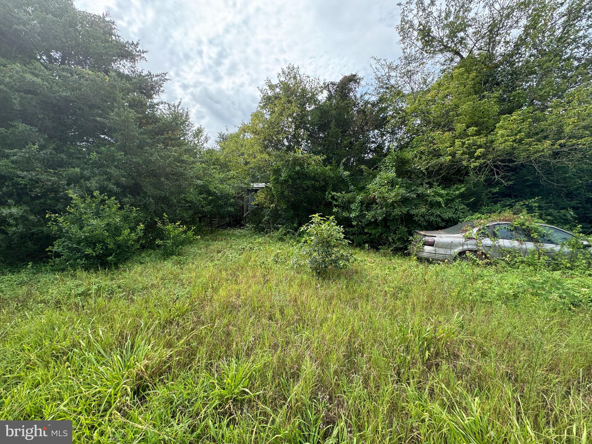 4715 Petersburg Back Street Hurlock, MD 21643 - Photo 5 of 16 a view of outdoor space and yard