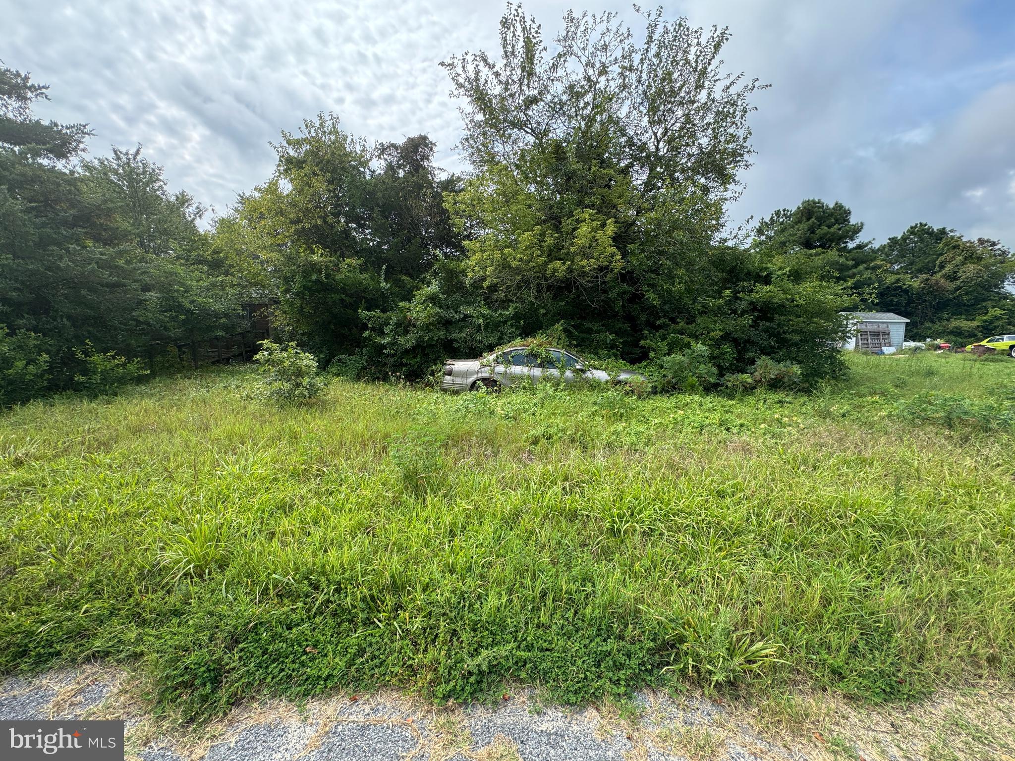 4715 Petersburg Back Street Hurlock, MD 21643 - Photo 6 of 16 a backyard of a house with lots of green space