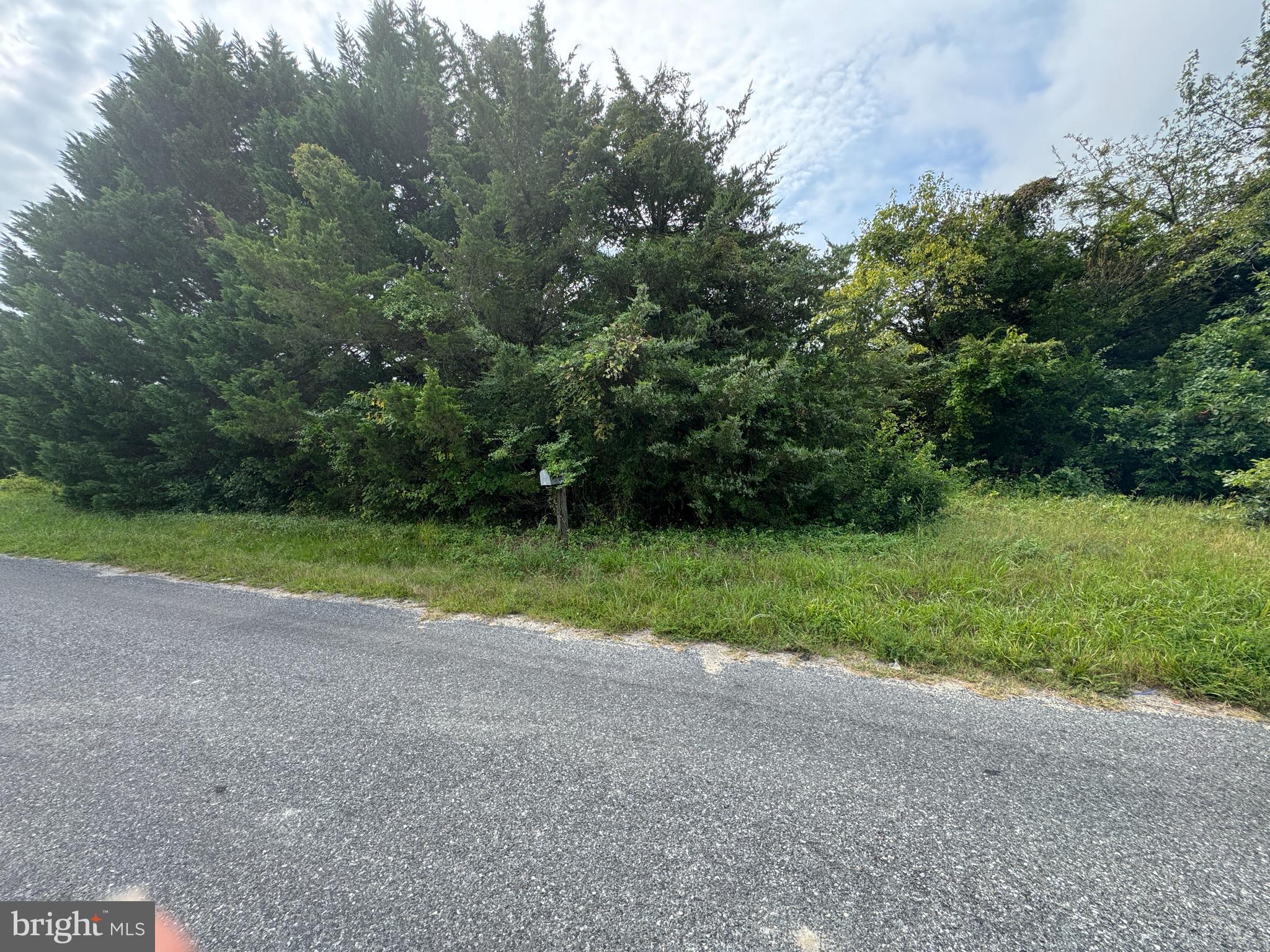4715 Petersburg Back Street Hurlock, MD 21643 - Photo 7 of 16 a view of a field with plants in the background