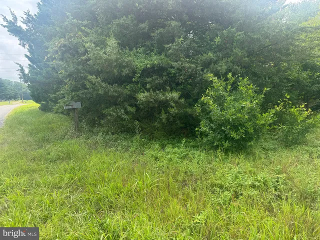 a view of an outdoor space and yard