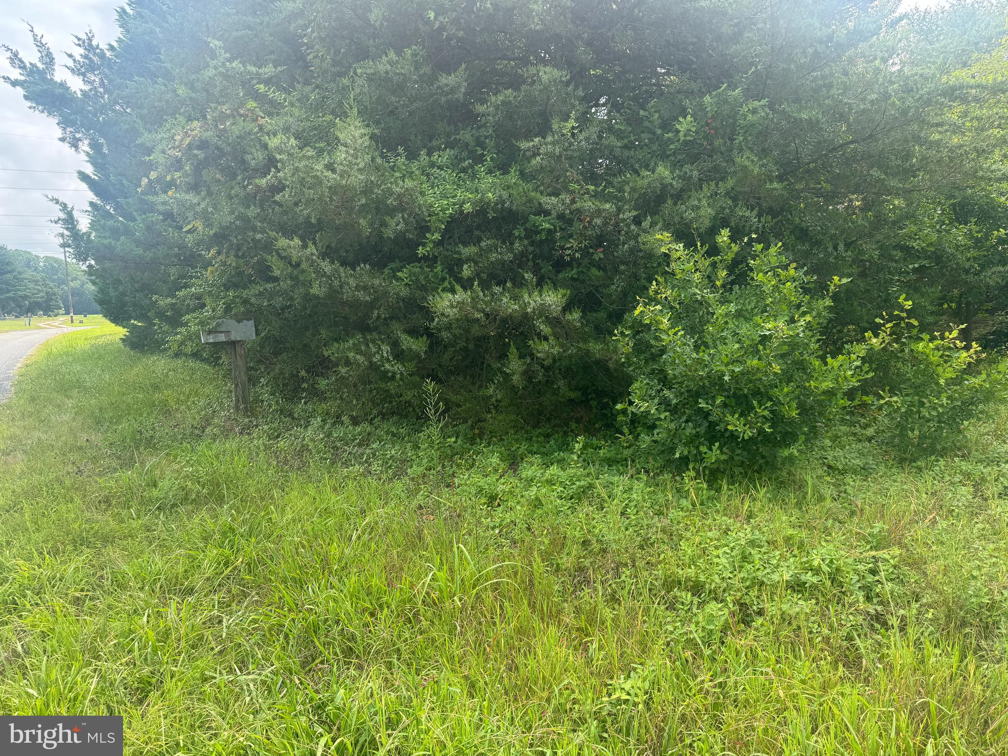 4715 Petersburg Back Street Hurlock, MD 21643 - Photo 8 of 16