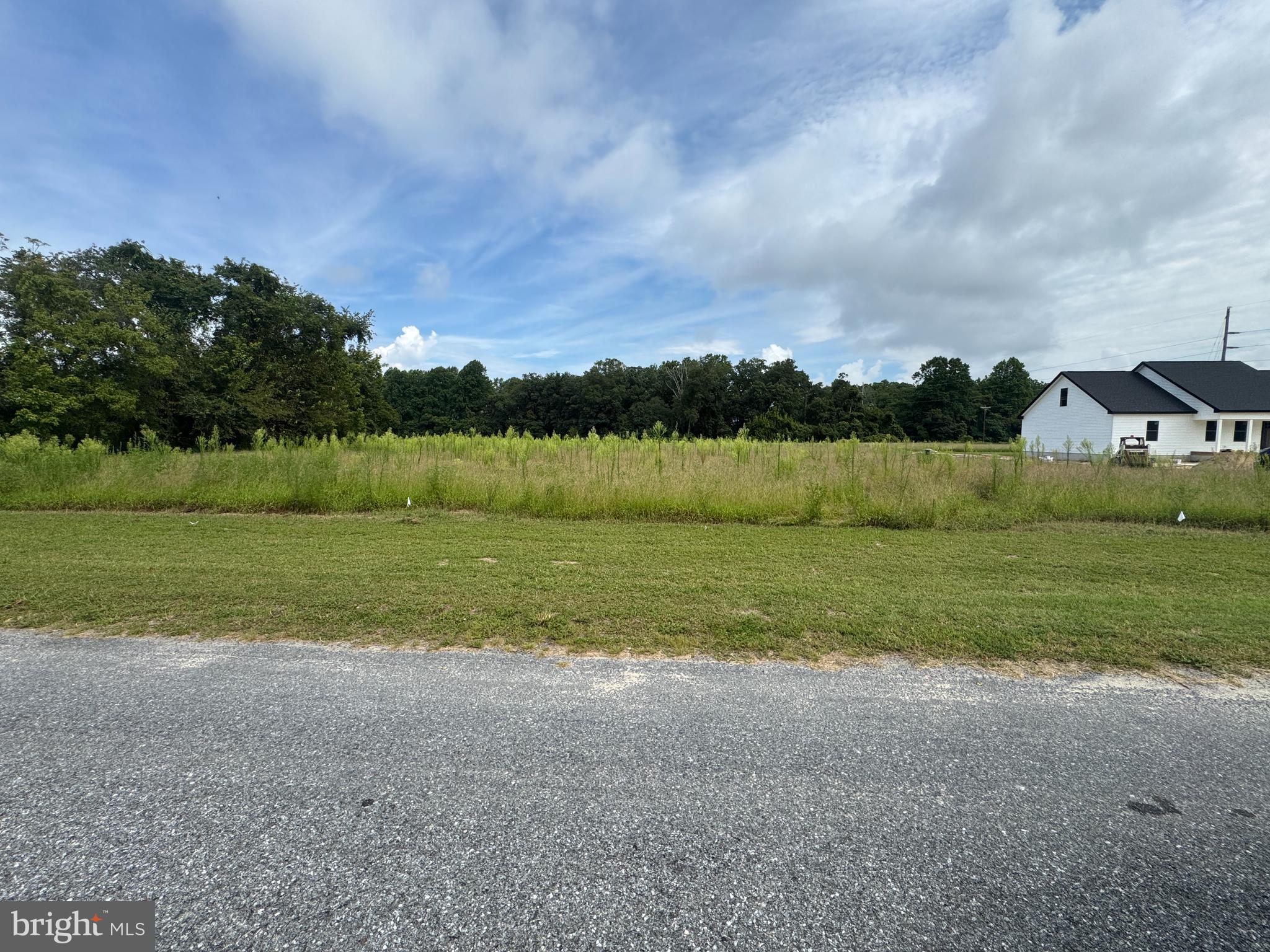 4715 Petersburg Back Street Hurlock, MD 21643 - Photo 10 of 16 a view of an outdoor space and yard