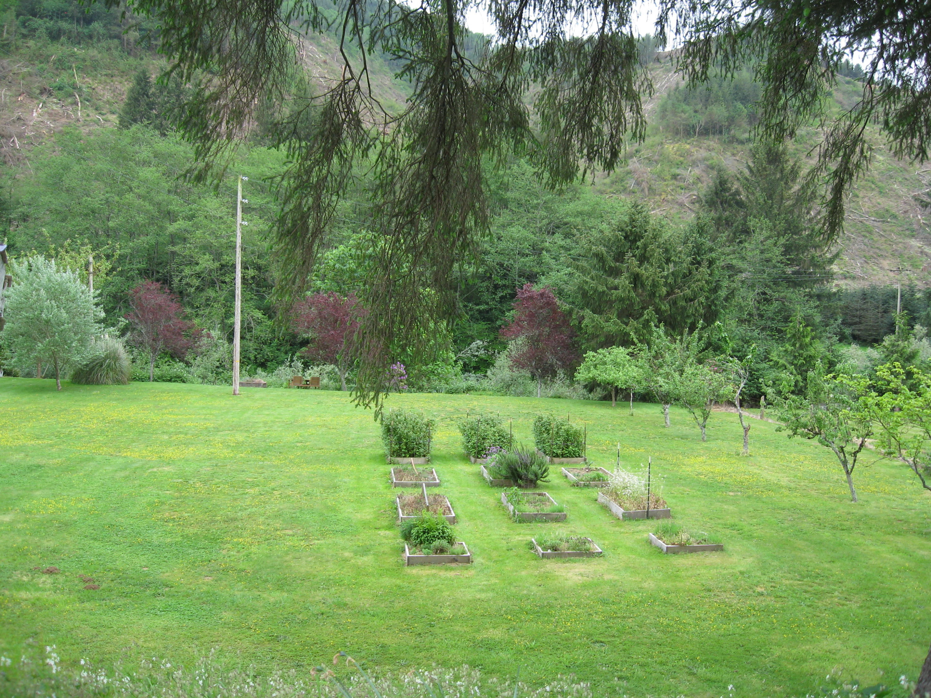 13435 Trask River Road Tillamook, OR 97141 - Photo 15 of 49 Yard and garden area overlooking river