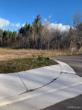 $29,750 | Lot 11 Dolomite Drive, Hancock, MI 49930
