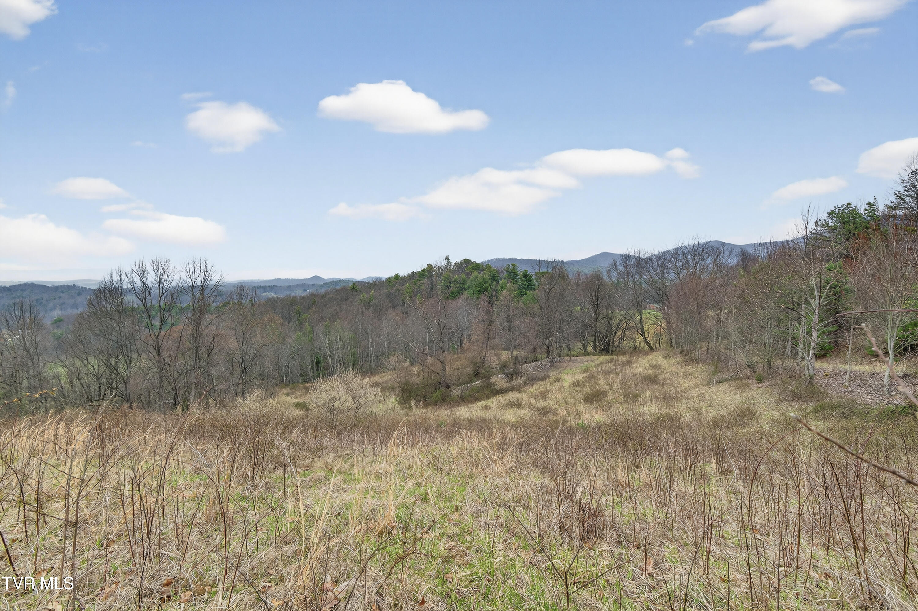 329 Mill Creek Road Chilhowie, VA 24319 - Photo 38 of 61 329-Mill-Creek-Rd-Chilhowie-VA Highlands