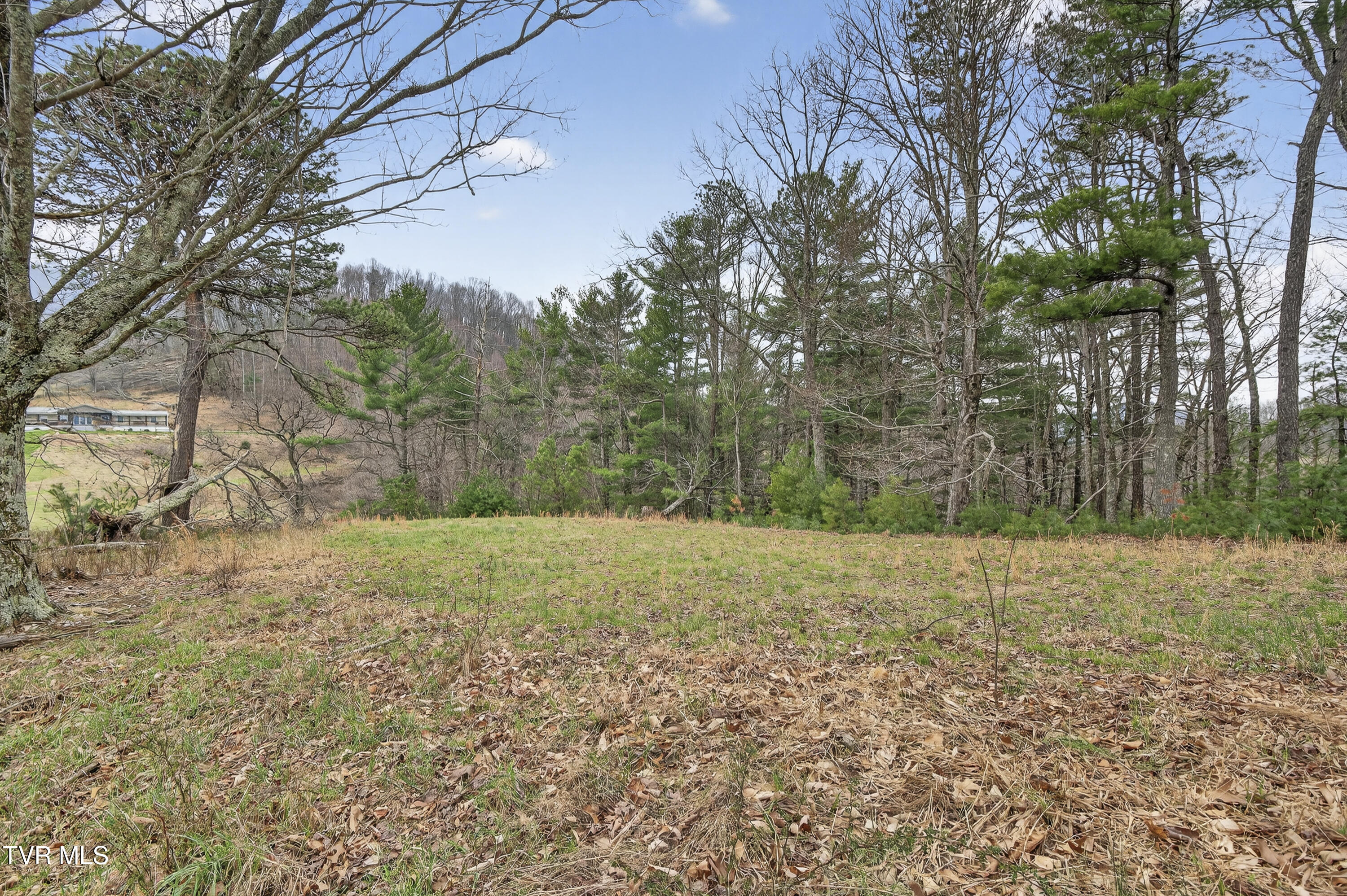 329 Mill Creek Road Chilhowie, VA 24319 - Photo 41 of 61 329-Mill-Creek-Rd-Chilhowie-VA Highlands
