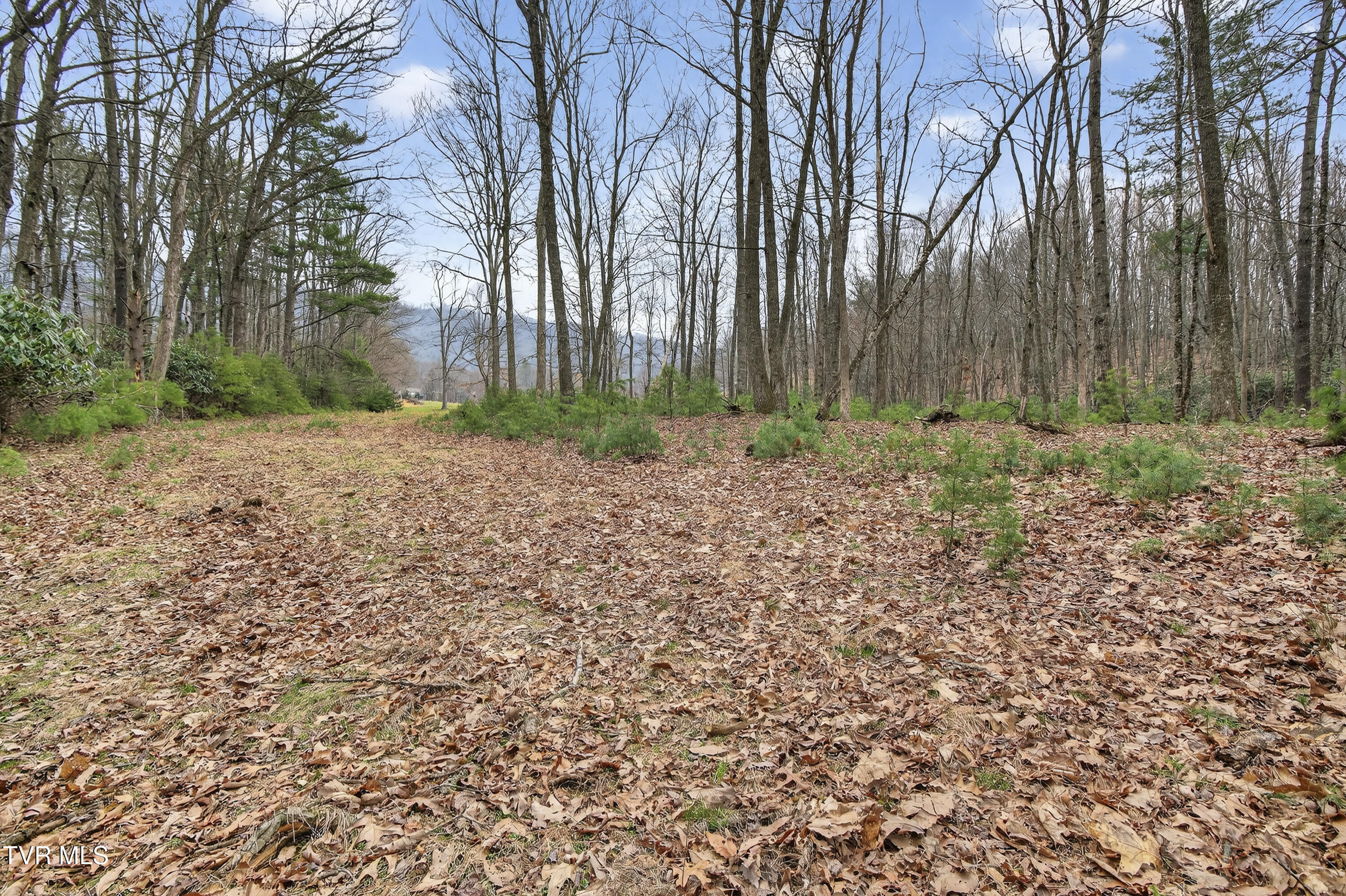 329 Mill Creek Road Chilhowie, VA 24319 - Photo 45 of 61 329-Mill-Creek-Rd-Chilhowie-VA Highlands