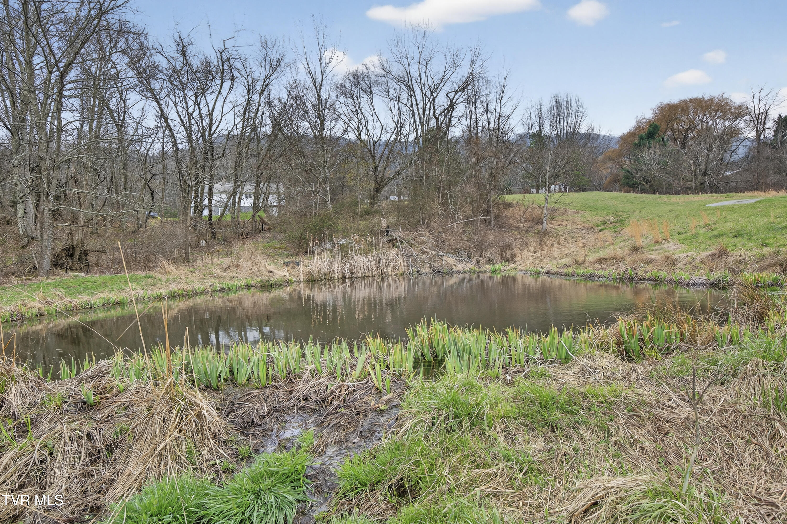 329 Mill Creek Road Chilhowie, VA 24319 - Photo 48 of 61 329-Mill-Creek-Rd-Chilhowie-VA Highlands