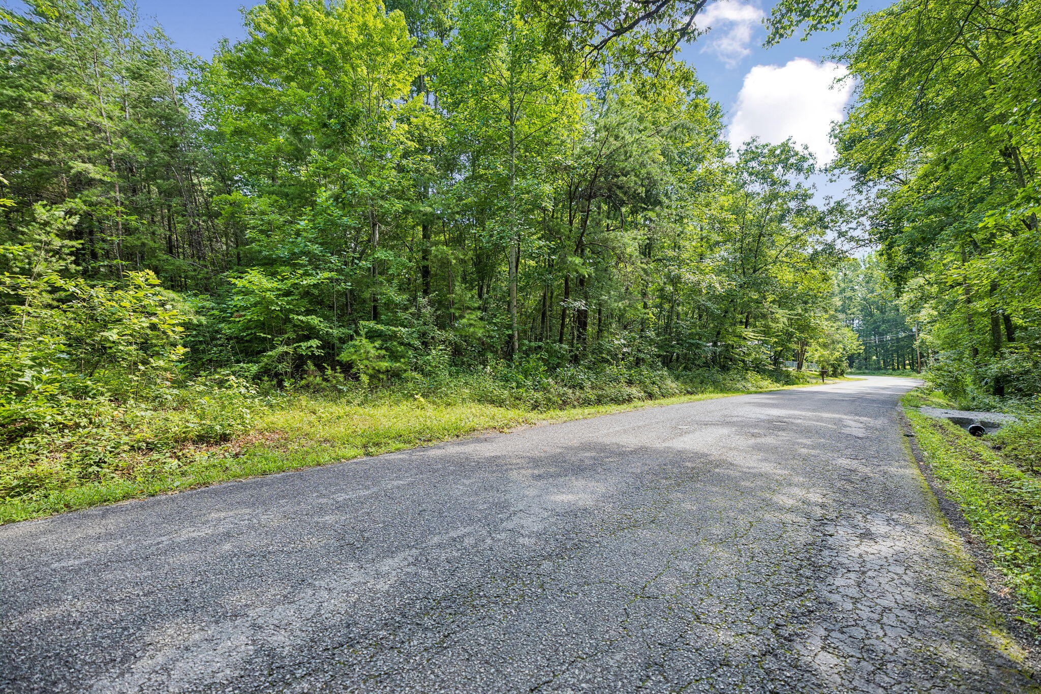 0 Ridge Road Lancing, TN 37770 - Photo 5 of 18