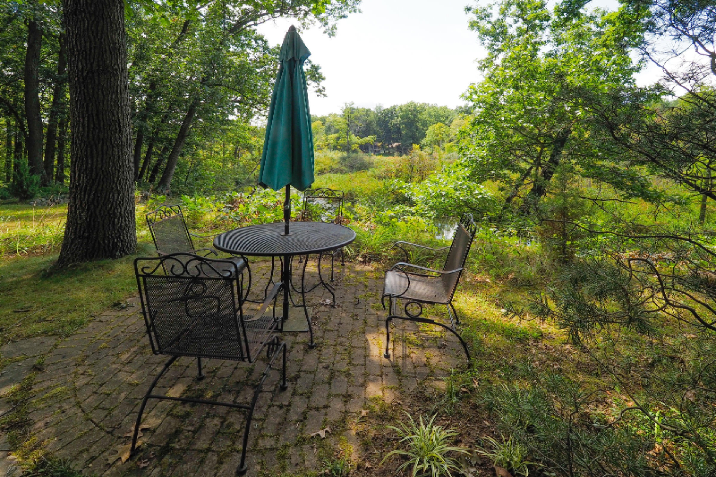15447 Shady Lane Three Rivers, MI 49093 - Photo 32 of 41 15447 Shady Lane-132