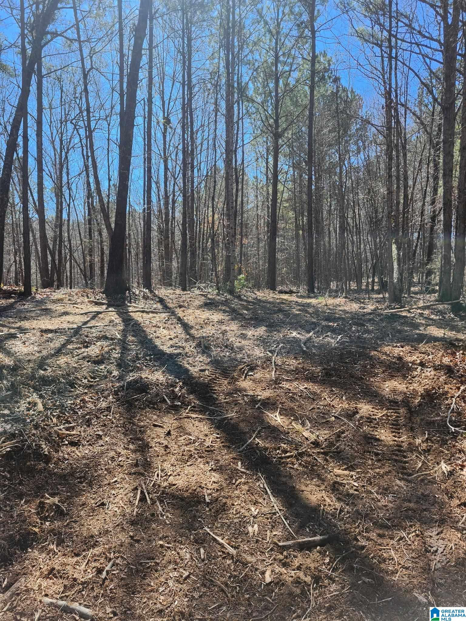 0 Francis Mill Road Ohatchee, AL 36271 - Photo 28 of 31 Gallery Image 28