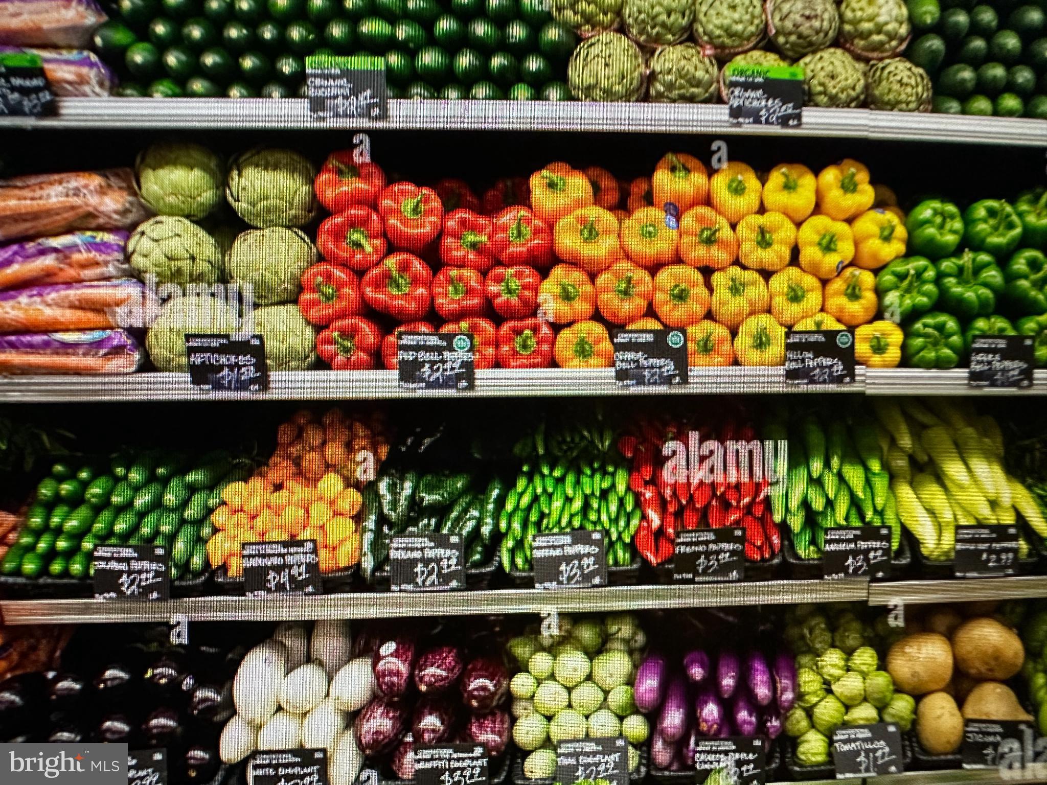 522 21st Street Northwest, Unit 1003 Washington, DC 20037 - Photo 12 of 15 an outdoor room with a bunch of flowers