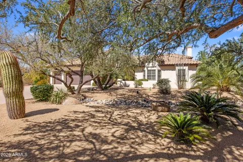 a view of a yard with plants and trees