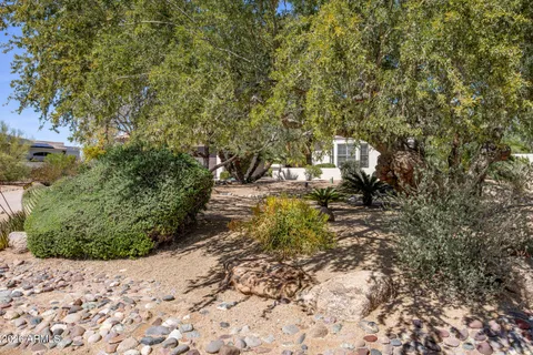 a view of a yard with plants and trees