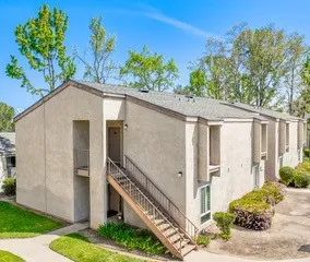 a house with a small yard plants and large tree