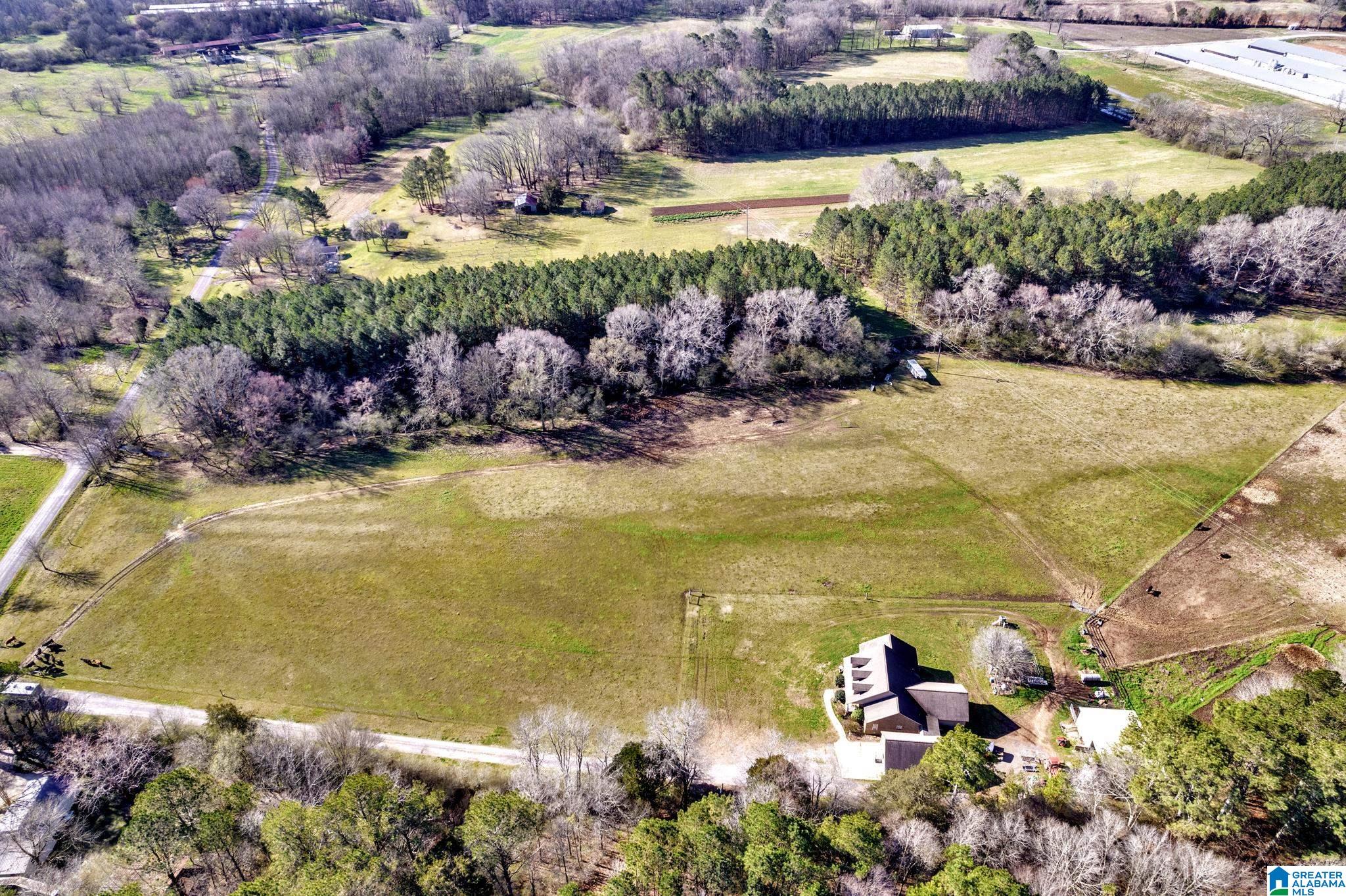 5353 Old Scott Road Blountsville, AL 35031 - Photo 33 of 41