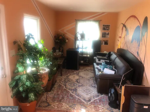 a living room with furniture flowerpot and a potted plant