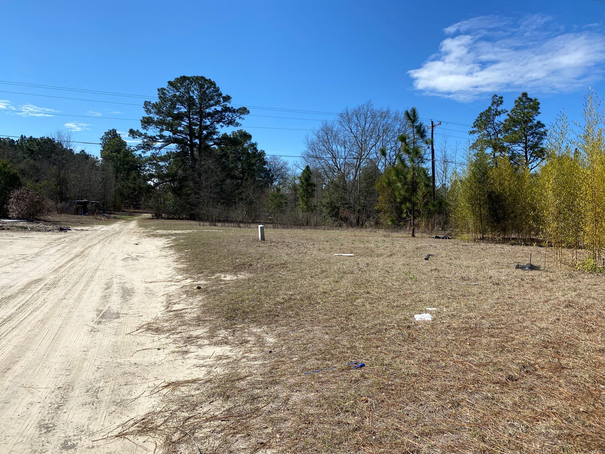 0 Project Road Warrenville, SC 29851 - Photo 3 of 5