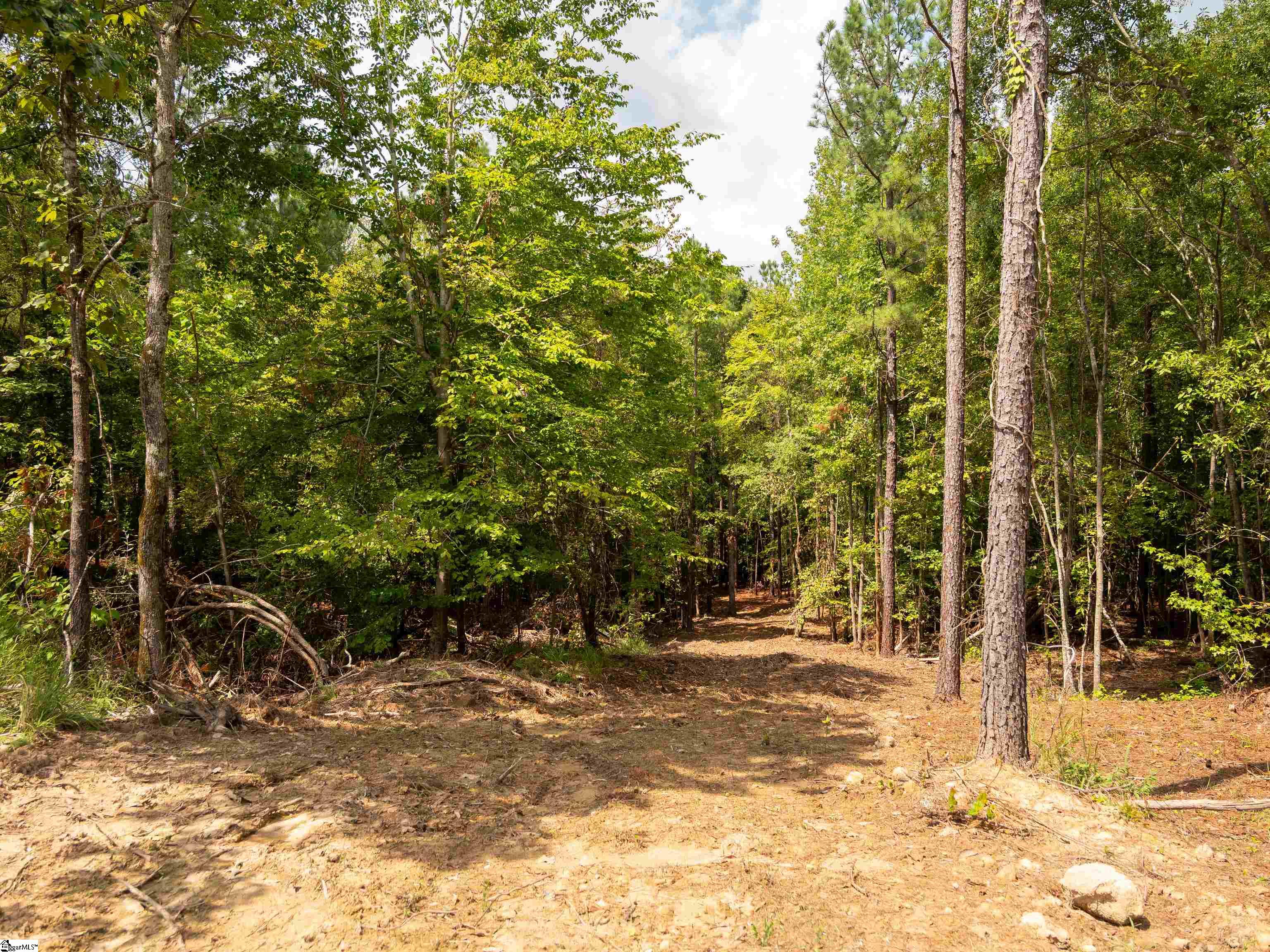 8 Neal Shoals Road Union, SC 29379 - Photo 36 of 43 Gallery Image 36