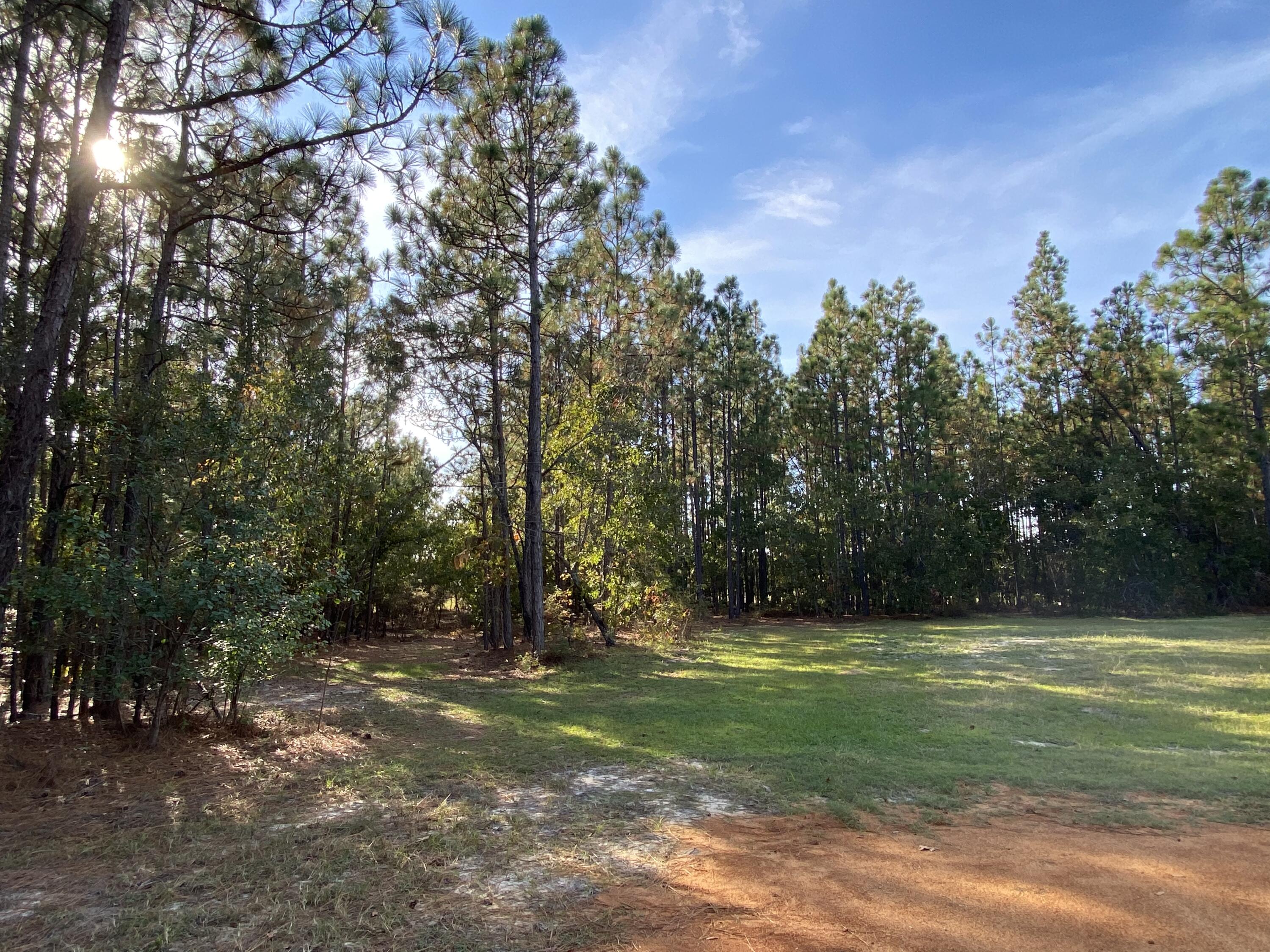 724 Grovers Road Windsor, SC 29856 - Photo 37 of 42