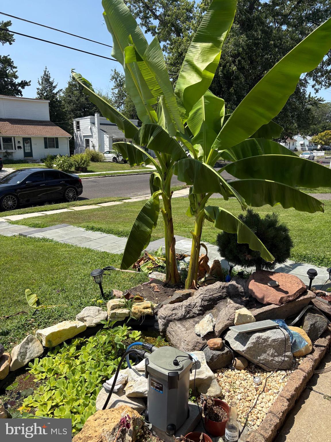 409 10th Avenue Lindenwold, NJ 08021 - Photo 4 of 24