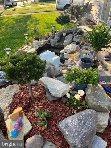 a picture of plants and couple of flower plants