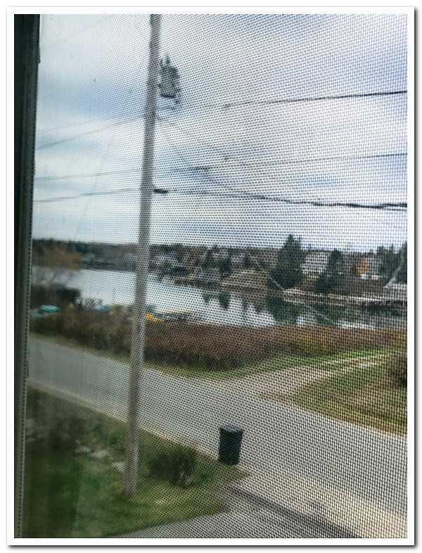 154 Crowley Island Road Corea, ME 04624 - Photo 28 of 33 download (30)