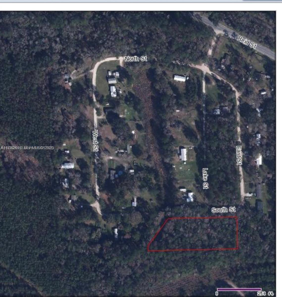 . Palatka Palatka, FL 32177 - Photo 8 of 12 a close up of a tree