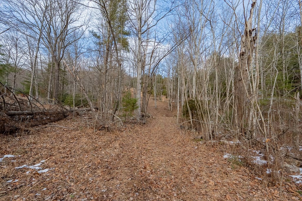 Tbd Spur Branch Road, Unit 4 Dublin, VA 24084 - Photo 14 of 85 Gallery Image 14