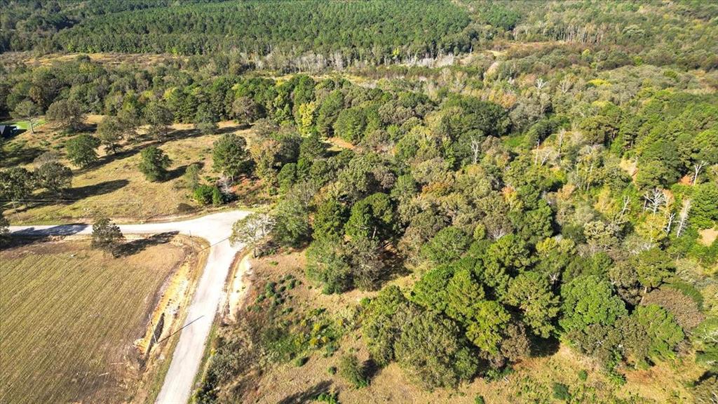 Tbd Pr 3398 Road Big Sandy, TX 75755 - Photo 12 of 19 Aerial view of property's location with a heavily wooded area