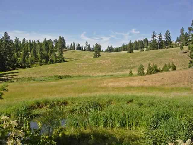 16233 Foothills Road Spokane, WA 99217 - Photo 9 of 9