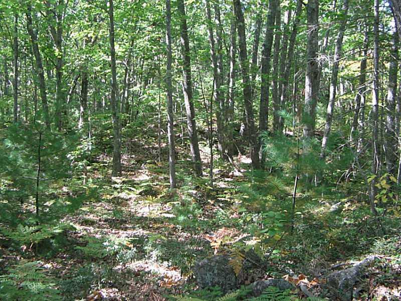 127-1 Oak Ridge Road Kennebunkport, ME 04046 - Photo 12 of 15 Other.