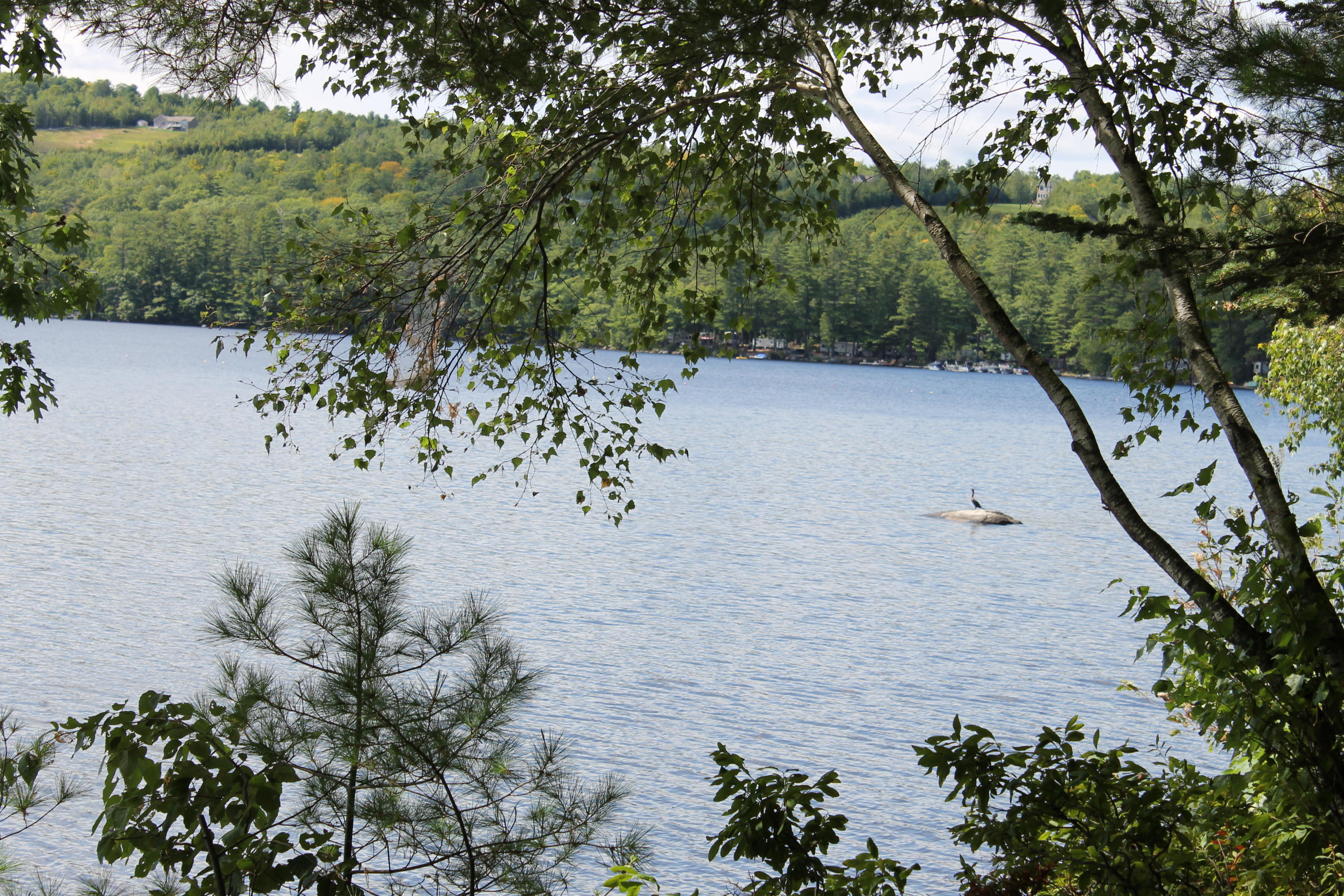 47-48 Swan Road Harrison, ME 04040 - Photo 7 of 21 Summer view